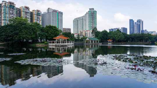 广州荔湾湖公园湖泊景观延时摄影4k