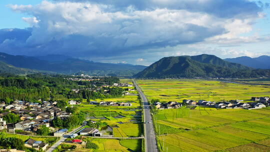 秋天，从金黄稻田穿过的公路