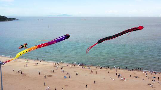海边风筝翩翩起舞视频素材模板下载