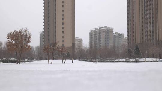 小区社区下雪雪景