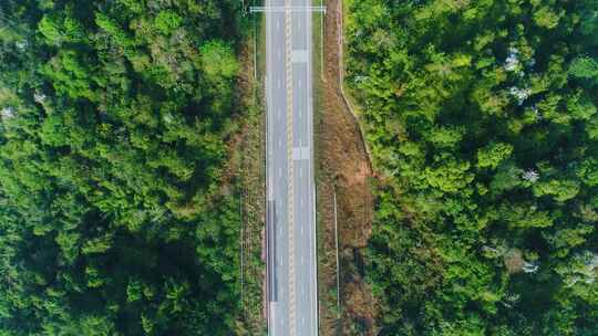 航拍森林中的公路