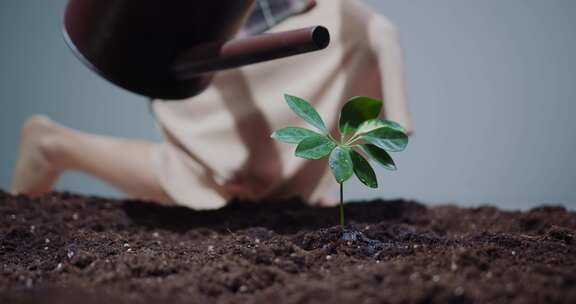 新生意境生命植物生长浇水幼苗