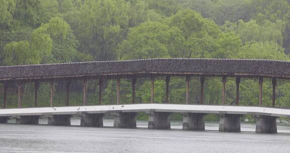 江南春天下雨杭州西湖泸晧湾空镜