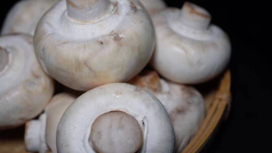 口蘑白蘑菇食材氨基酸