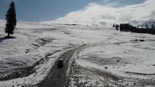 新疆伊犁库尔德宁大气壮观雪山丛林景色