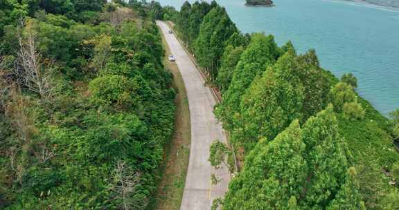 沿海公路海边公路海景公路绿色树木