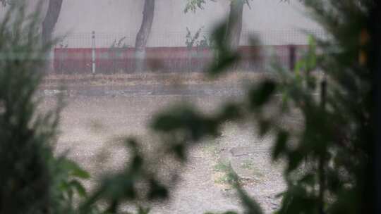 唯美春雨下雨雨天空镜头视频素材模板下载