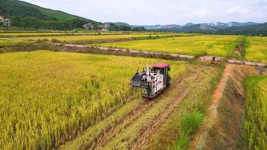 航拍韶关浈江区茶山人工改造田秋收