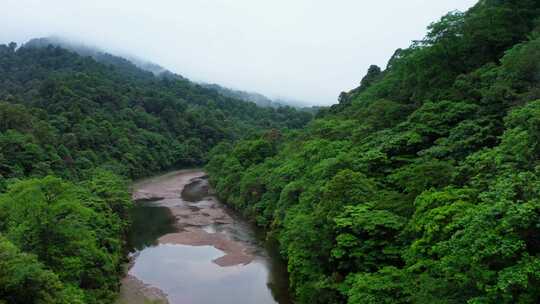 四川龙苍沟河谷山林绿色树林大自然航拍