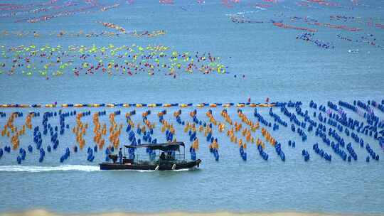 升格实拍海水养殖场海面上五颜六色的浮漂