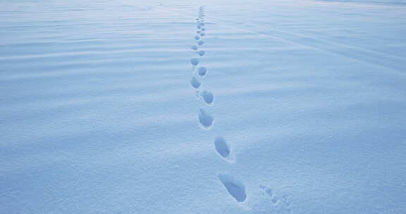雪堆上人类脚步的痕迹