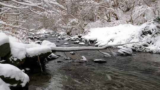 森林中溪流上的雪