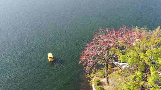 精选西湖木棉小船航拍大景 2视频素材模板下载