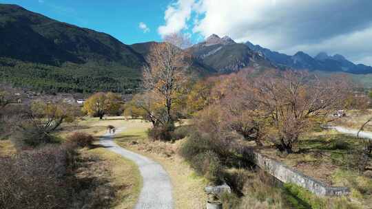 丽江玉龙雪山下的风景航拍