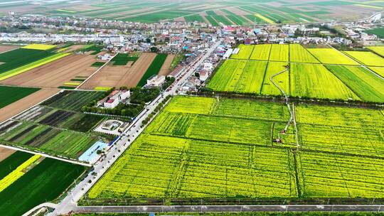 【航拍】消泗油菜花田