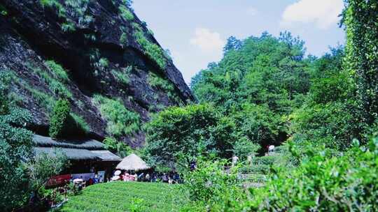 武夷山大红袍景区