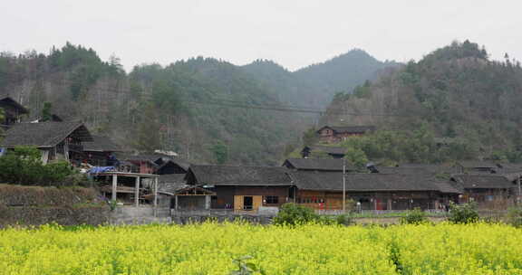 农村房屋乡村场景