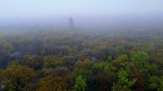 4k航拍南京灵谷寺