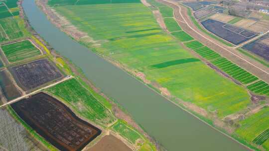 航拍美丽乡村，江汉平原农田风光小麦地农村