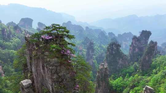 中国 湖南 张家界 武陵源 天子山 风光