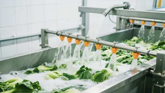 蔬菜流水线清洗素材