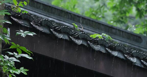 江南雨季中式园林建筑绿植雨滴