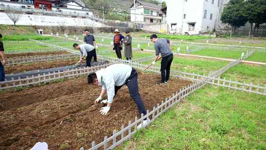 劳动空镜刨土锄地农场工人耕作劳作翻土