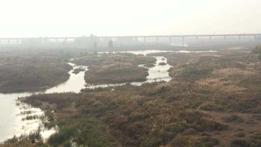 鸟 自然保护区 湿地保护区 北方 初冬 秋天