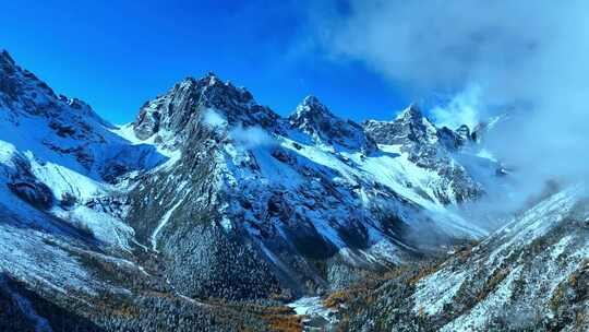 雪山下多彩树林与湖泊相映的美景