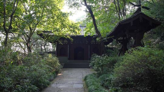 杭州玉皇山景区天龙寺