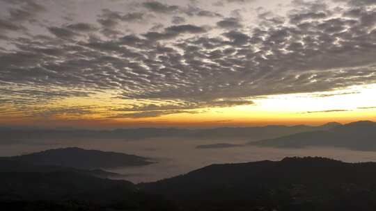 景迈山茶山云海日出