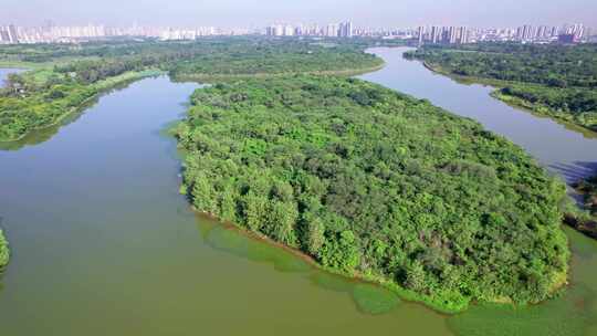 成都青龙湖湿地公园清晨白昼航拍