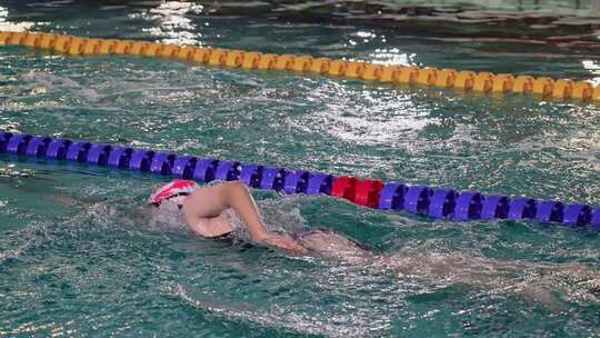 游泳比赛体育运动