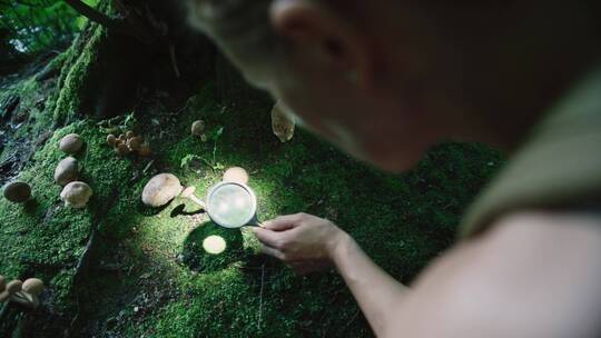 女人在森林里用放大镜观察蘑菇
