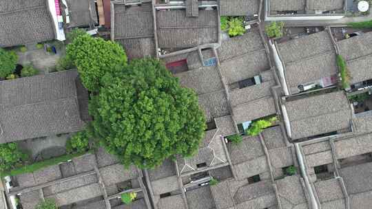 福建福州三坊七巷5A景区航拍