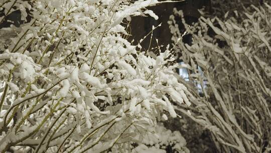 小区下雪夜景唯美飘雪