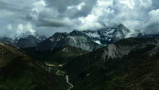 稻城亚丁森林雪山 稻城亚丁夏季风光