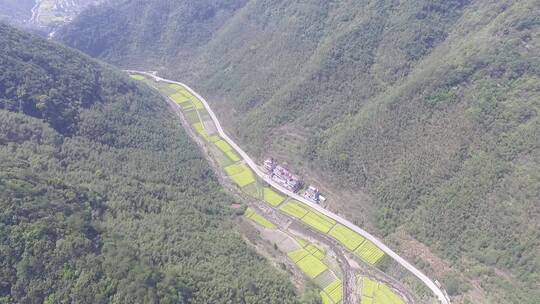 衢州市衢江区东平村