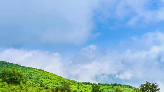 夏季晴天阳光下的山顶云海