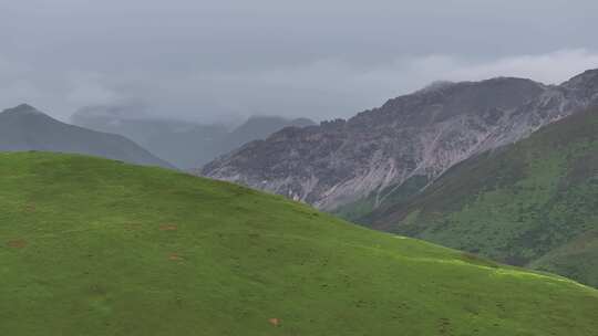 西藏高山云海