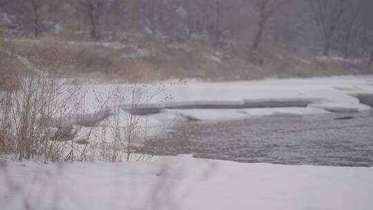 寒冷的水流经过冰雪河谷4k50帧灰片