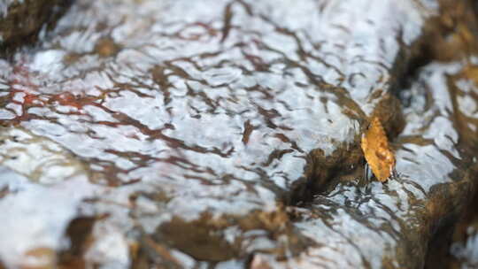 流水 小溪 生命源泉 流动的水 慢放 清水