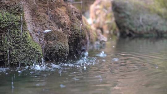 观景水池假山流水瀑布水滴凉亭水景