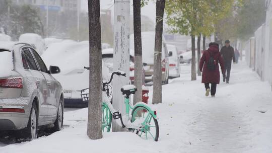 城市大雪