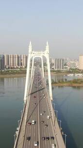 湖南长沙湘江三汊矶大桥竖屏航拍