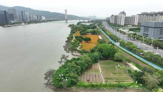 航拍福建福州城市花海公园