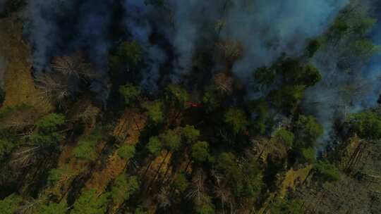 森林火灾航拍