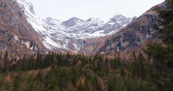 航拍四姑娘山双桥沟红杉林雪山风景