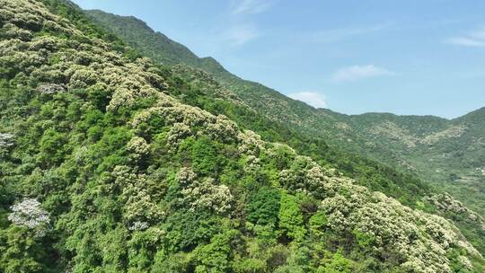 中国广东省梅州市丰顺县韩山森林公园