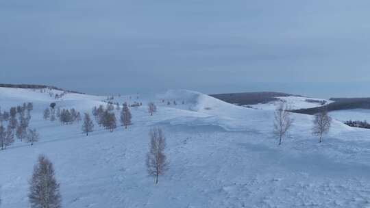 呼伦贝尔疏林雪原风光